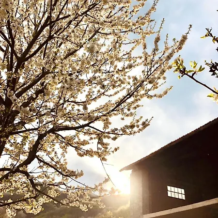 別荘 La Casa Rossa *