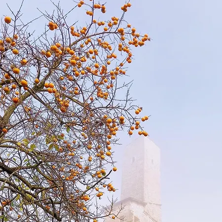 La Casa Rossa Camerana
