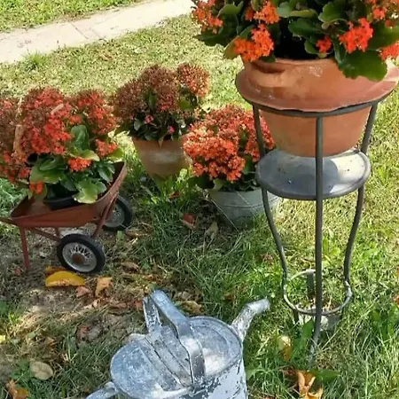 度假居 La Casa Rossa Camerana