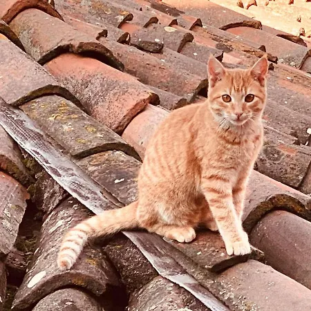 La Casa Rossa بيت للعطل *