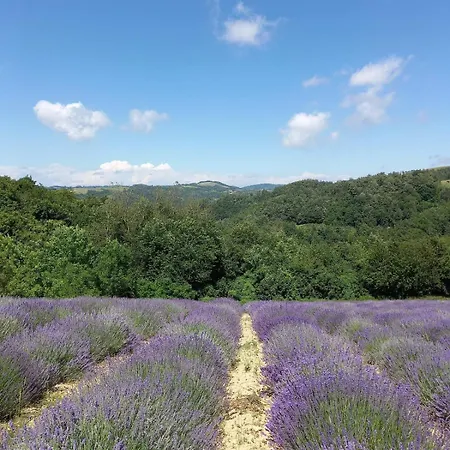 度假居 La Casa Rossa Camerana