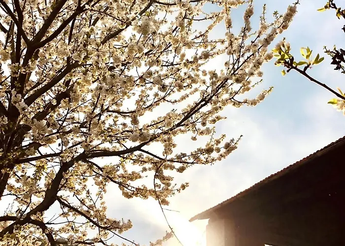 בית נופש La Casa Rossa *