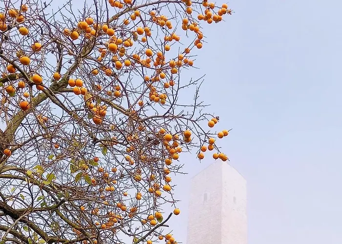 La Casa Rossa Camerana