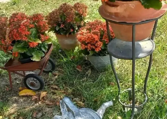 Vakantiehuis La Casa Rossa Camerana