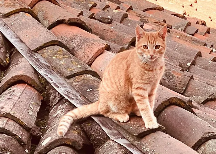 La Casa Rossa Vakantiehuis *